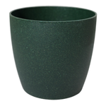 Green Pot